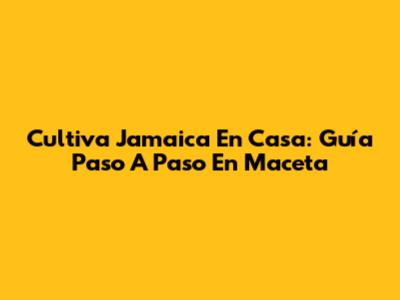 Cultiva Jamaica En Casa: Guía Paso A Paso En Maceta