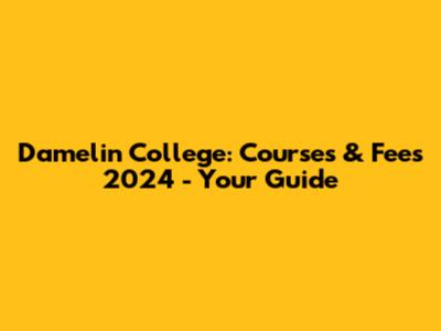 Damelin College: Courses & Fees 2024 - Your Guide