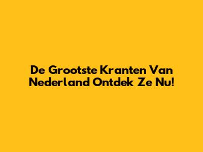 De Grootste Kranten Van Nederland Ontdek Ze Nu!