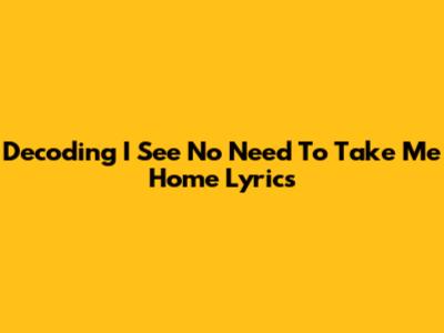 Decoding 'I See No Need To Take Me Home' Lyrics
