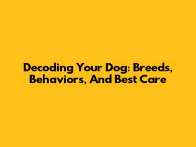 Decoding Your Dog: Breeds, Behaviors, And Best Care