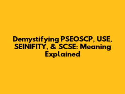 Demystifying PSEOSCP, USE, SEINIFITY, & SCSE: Meaning Explained