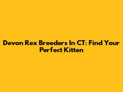 Devon Rex Breeders In CT: Find Your Perfect Kitten