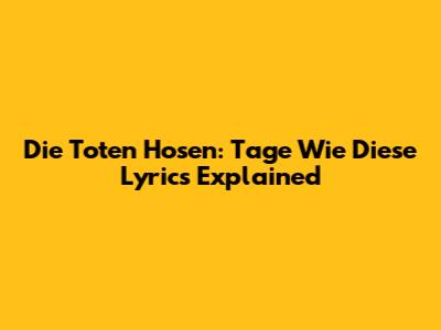 Die Toten Hosen: "Tage Wie Diese" Lyrics Explained