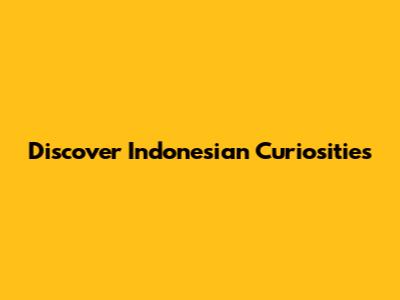 Discover Indonesian Curiosities