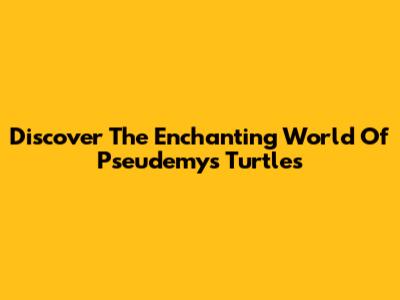 Discover The Enchanting World Of Pseudemys Turtles