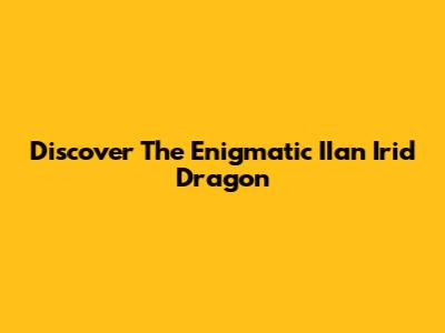 Discover The Enigmatic IIan Irid Dragon