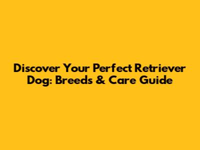 Discover Your Perfect Retriever Dog: Breeds & Care Guide