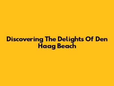 Discovering The Delights Of Den Haag Beach