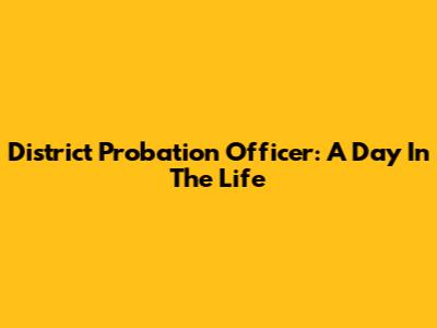 District Probation Officer: A Day In The Life