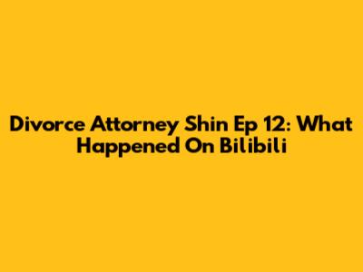 Divorce Attorney Shin Ep 12: What Happened On Bilibili