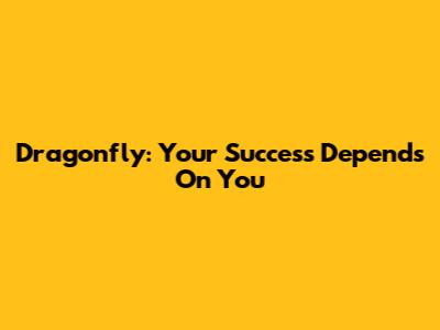 Dragonfly: Your Success Depends On You