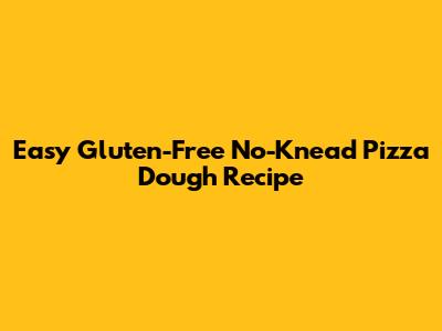 Easy Gluten-Free No-Knead Pizza Dough Recipe