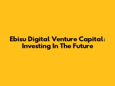 Ebisu Digital Venture Capital: Investing In The Future