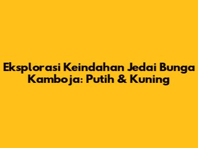 Eksplorasi Keindahan Jedai Bunga Kamboja: Putih & Kuning