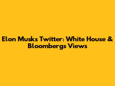 Elon Musk's Twitter: White House & Bloomberg's Views