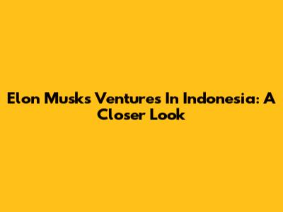 Elon Musk's Ventures In Indonesia: A Closer Look