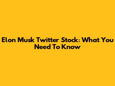 Elon Musk Twitter Stock: What You Need To Know
