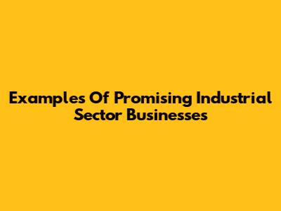 Examples Of Promising Industrial Sector Businesses