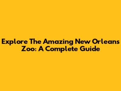 Explore The Amazing New Orleans Zoo: A Complete Guide