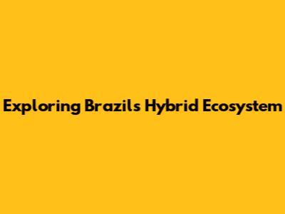 Exploring Brazil's Hybrid Ecosystem