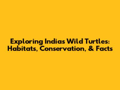 Exploring India's Wild Turtles: Habitats, Conservation, & Facts