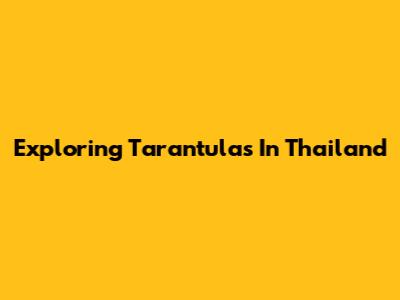 Exploring Tarantulas In Thailand