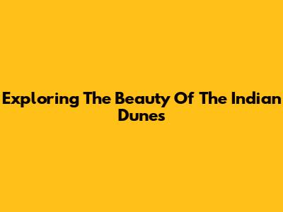 Exploring The Beauty Of The Indian Dunes