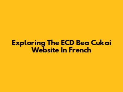 Exploring The ECD Bea Cukai Website In French