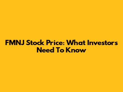FMNJ Stock Price: What Investors Need To Know