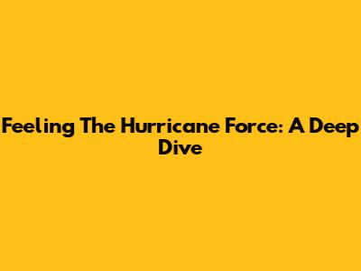 Feeling The Hurricane Force: A Deep Dive