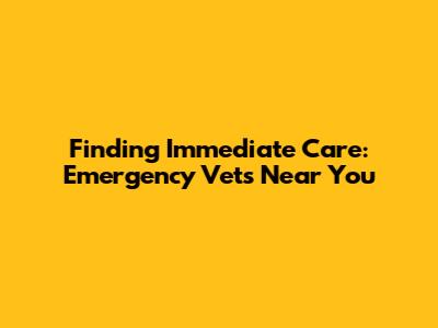 Finding Immediate Care: Emergency Vets Near You