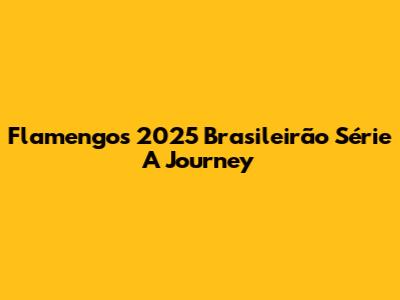 Flamengo's 2025 Brasileirão Série A Journey