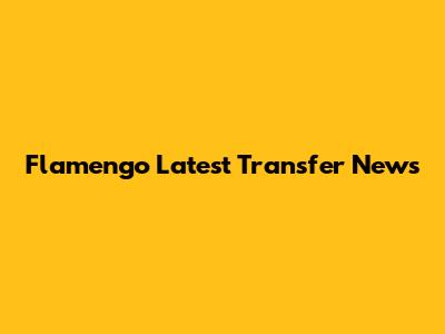Flamengo Latest Transfer News