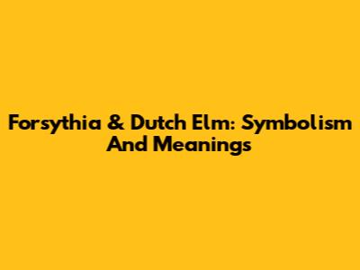 Forsythia & Dutch Elm: Symbolism And Meanings