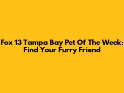 Fox 13 Tampa Bay Pet Of The Week: Find Your Furry Friend