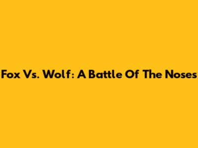 Fox Vs. Wolf: A Battle Of The Noses