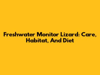 Freshwater Monitor Lizard: Care, Habitat, And Diet