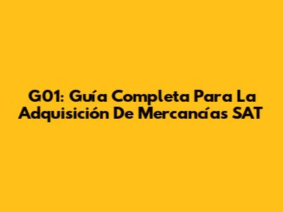 G01: Guía Completa Para La Adquisición De Mercancías SAT