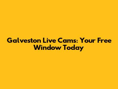 Galveston Live Cams: Your Free Window Today