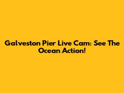 Galveston Pier Live Cam: See The Ocean Action!