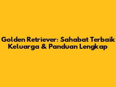 Golden Retriever: Sahabat Terbaik Keluarga & Panduan Lengkap