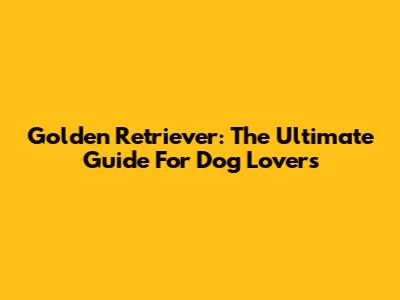 Golden Retriever: The Ultimate Guide For Dog Lovers