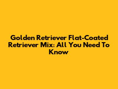 Golden Retriever Flat-Coated Retriever Mix: All You Need To Know