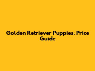 Golden Retriever Puppies: Price Guide