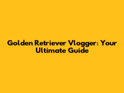 Golden Retriever Vlogger: Your Ultimate Guide