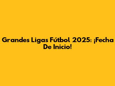 Grandes Ligas Fútbol 2025: ¡Fecha De Inicio!