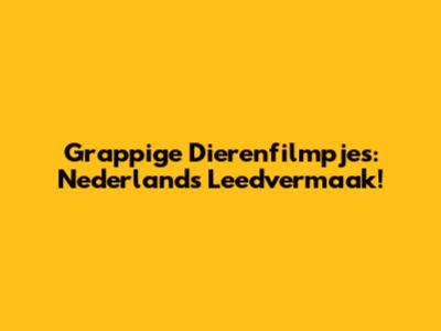 Grappige Dierenfilmpjes: Nederlands Leedvermaak!