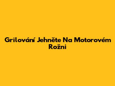 Grilování Jehněte Na Motorovém Rožni