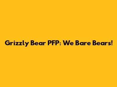 Grizzly Bear PFP: We Bare Bears!